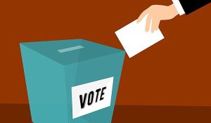 Elecciones de los representantes de los apoderados a los Consejos de Escuela y Establecimiento