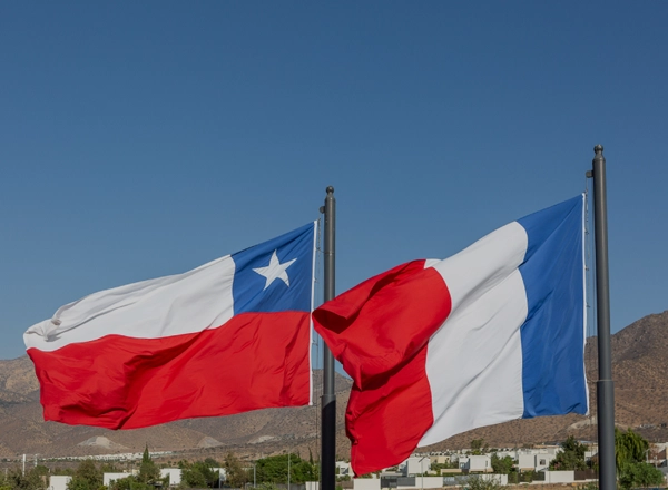  Desarrollar alianzas externas y mantener activa la red AEFE